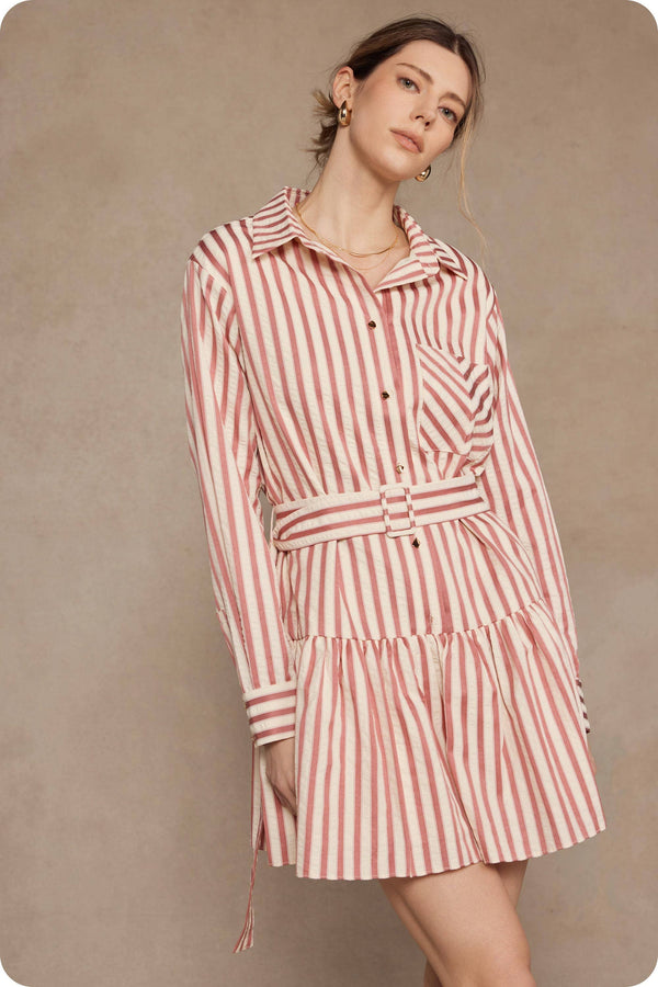 Strut & Bolt Striped Button Down Mini Dress