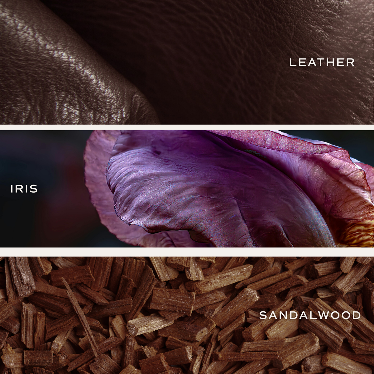 Luxury Getaway Reed Diffuser